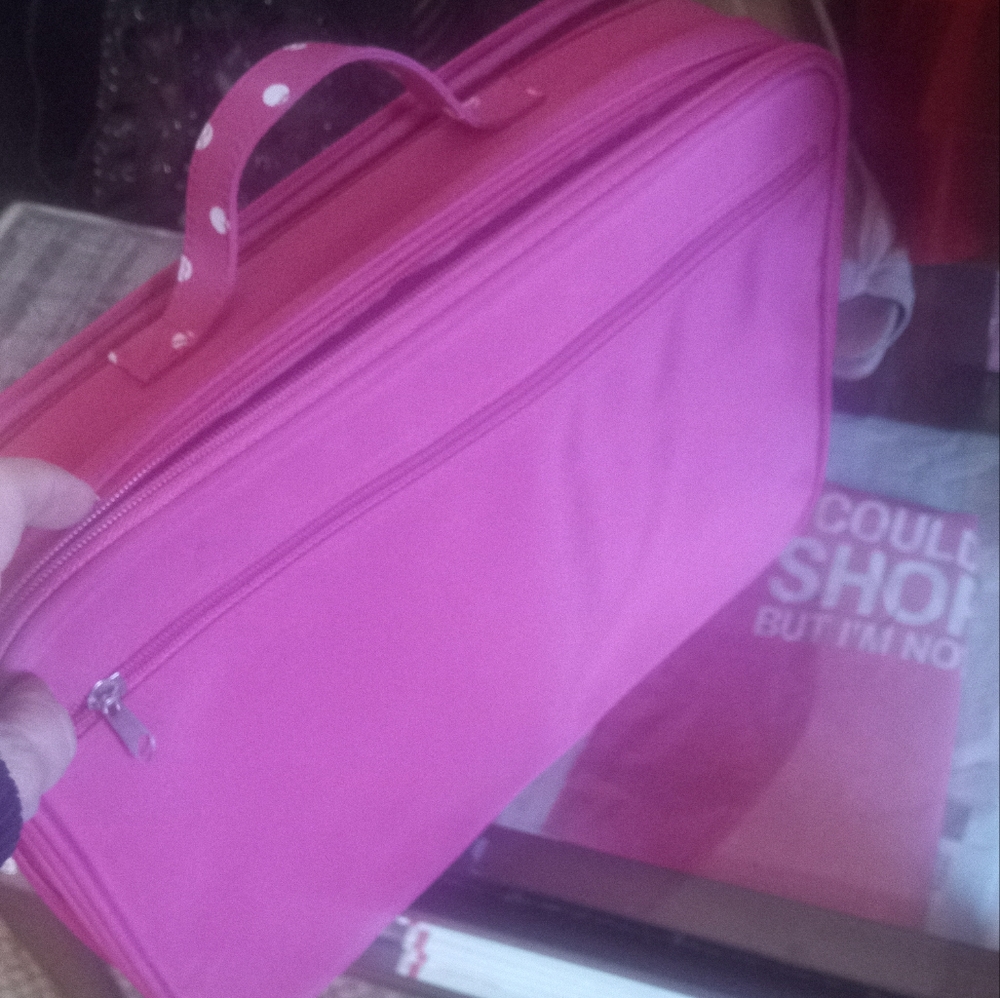 Cosmetic case and organizer